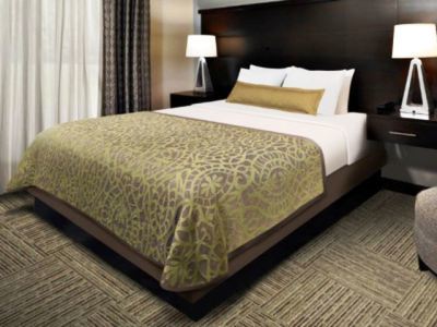 Staybridge Wolf Rd-colonie Center By Ihg Hotel