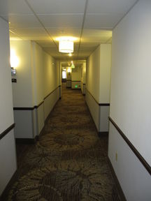 Staybridge Wolf Rd-colonie Center By Ihg